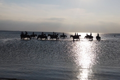 1_Strandausritt-Fehmarn